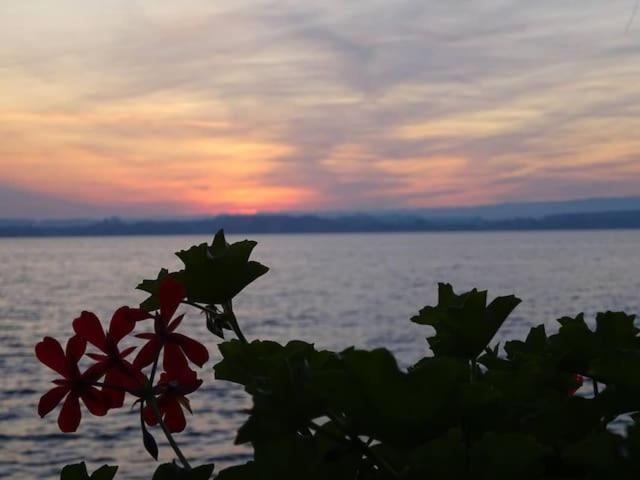 Zuger Place Otel Dış mekan fotoğraf